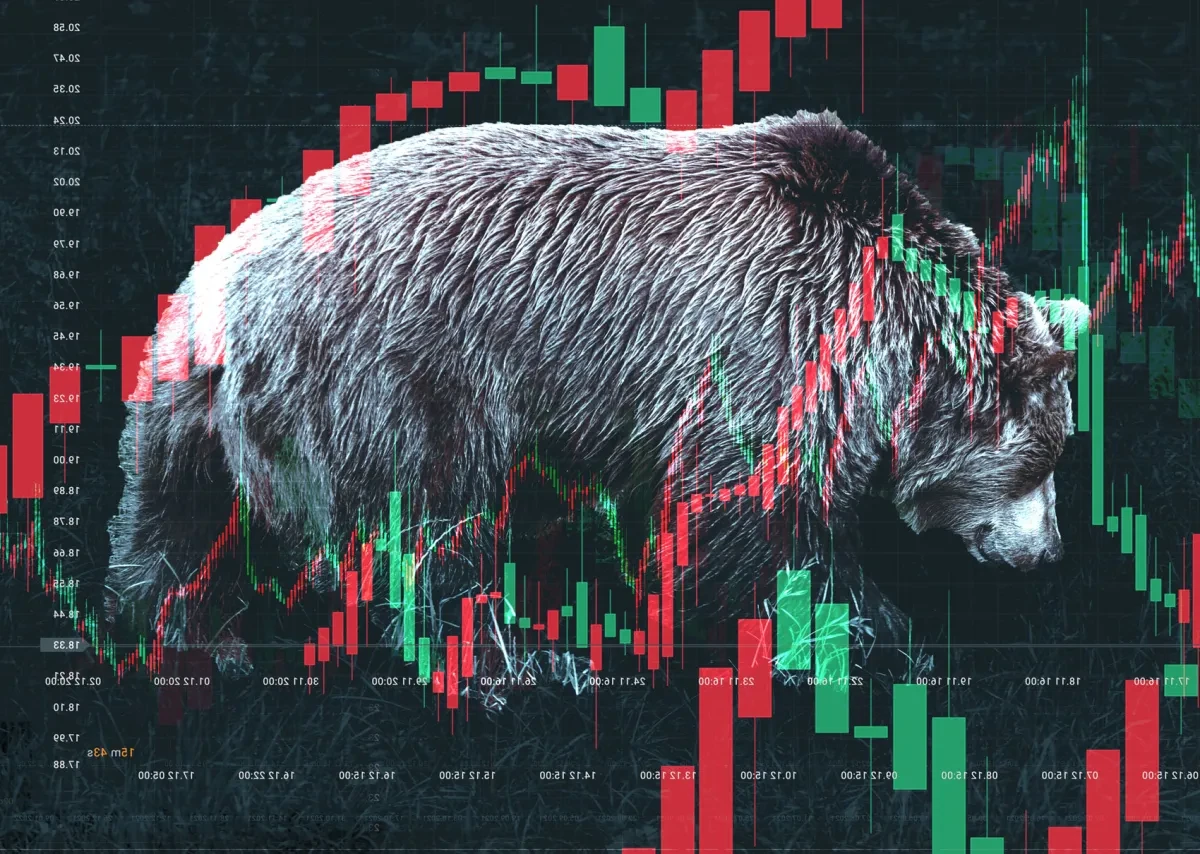bear_market_sm.jpg