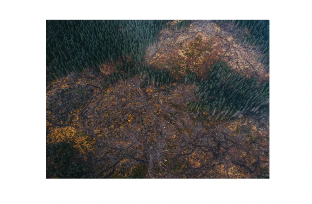 war_with_margins.png